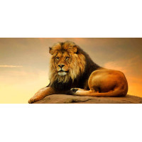 Rectangular print, Africa series, 016