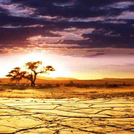 Принт "Африкански пейзаж" квадратный, серия Африка, 033