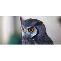 Принт прямоугольный, серия Животные, 039