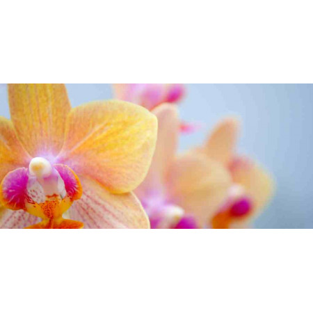 Electric Heater with a floral image, Flowers series, 020