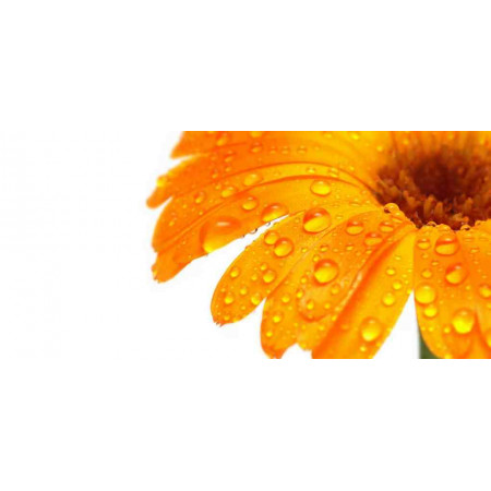 Electric Heater with a floral image, Flowers series, 027