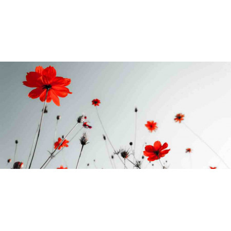 Electric Heater with a floral image, Flowers series, 035
