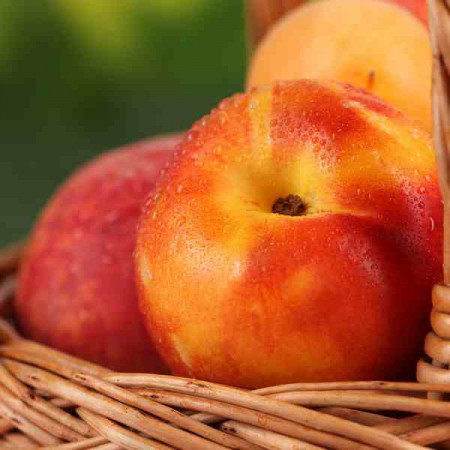 Принт "Сочный персик" квадратный, серия Еда, 021