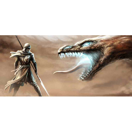 Принт "Warrior Dragon" прямоугольный, серия Герои, 012