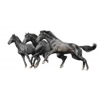 Rectangular print, Horses series, 003