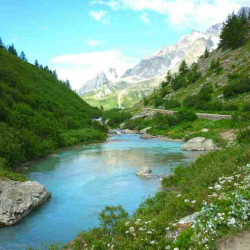 Принт квадратный, серия Природа, 018