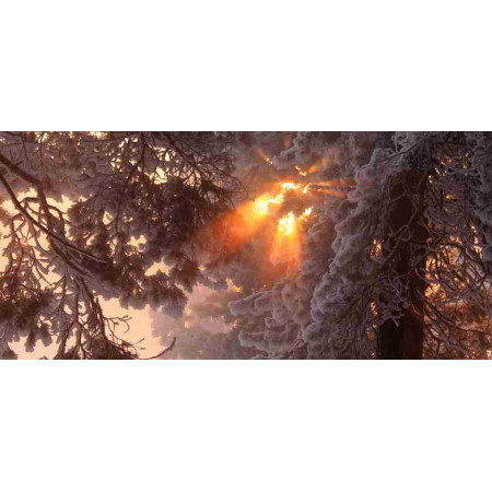 Ceramic Heater with a Nature Series picture, 030