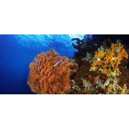 Ceramic Heater with an natural picture Sea series, 075
